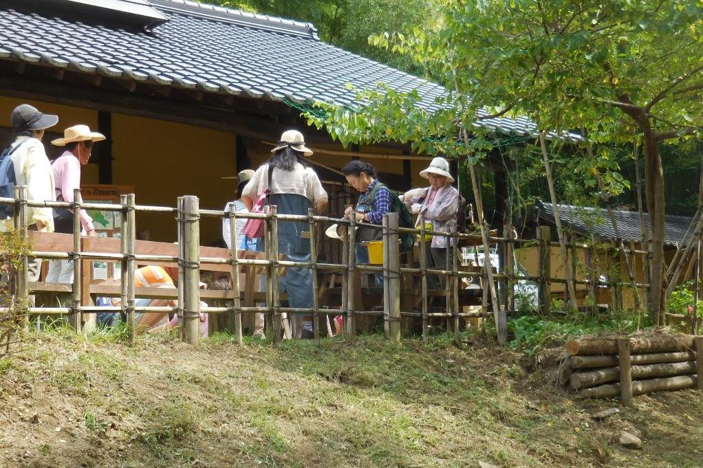 植物観察会「春の七草を観察しよう」を開催します！