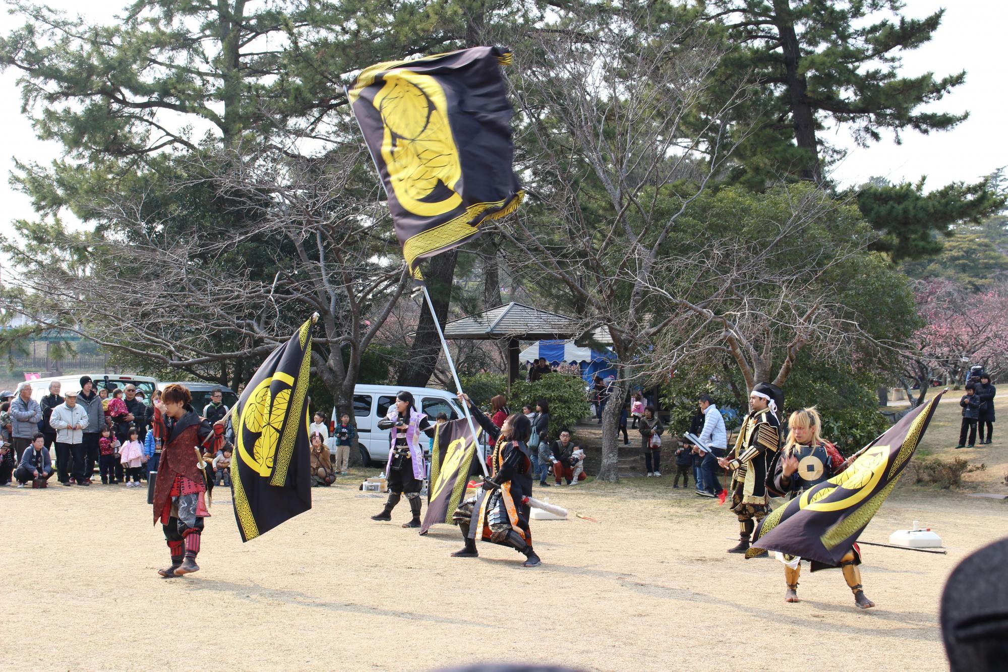 本日の葵武将隊の演武は中止します！