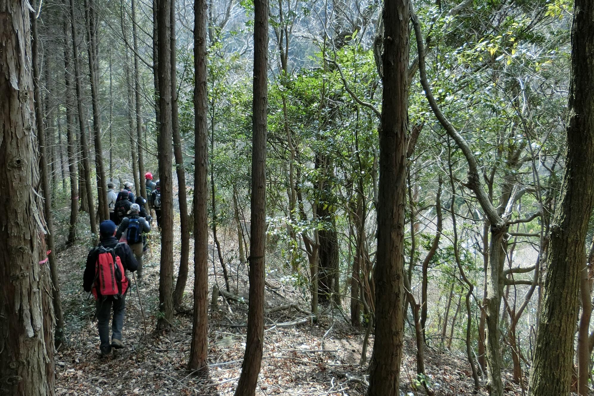 「鳥川ホタルの里」登山道の新ルートを開拓