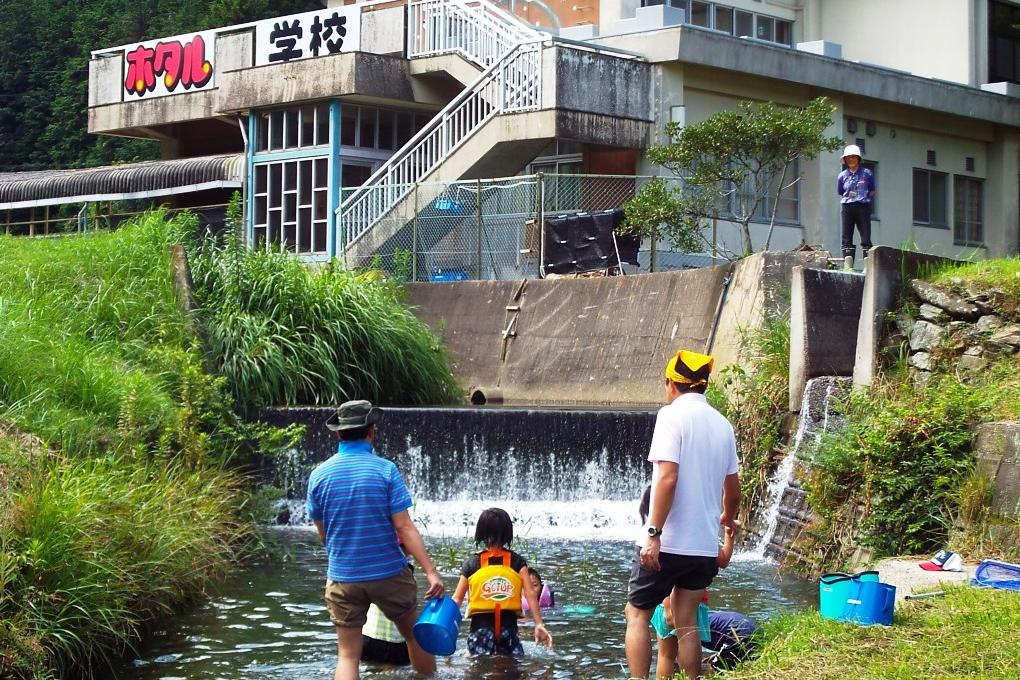 ホタルの川で生き物を探そうを開催します！