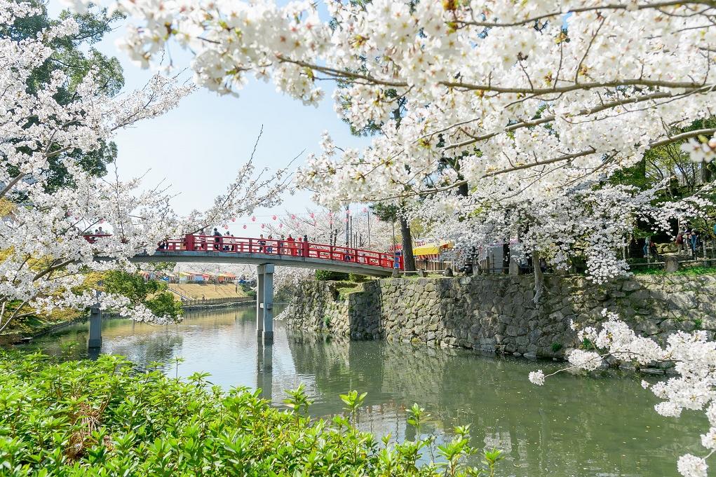 2020年岡崎桜まつりの動画を公開しています！