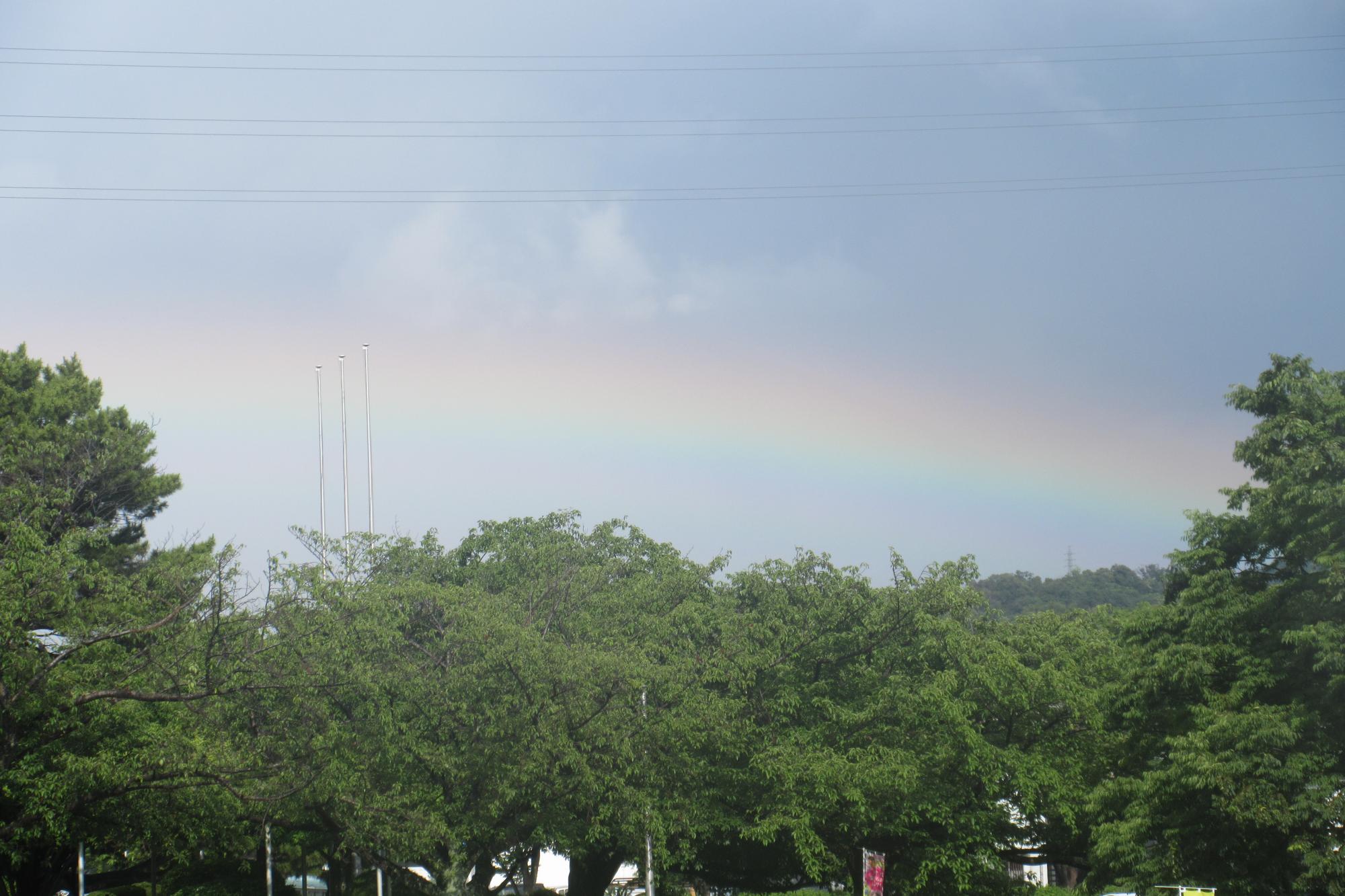 南公園で虹を見ました！