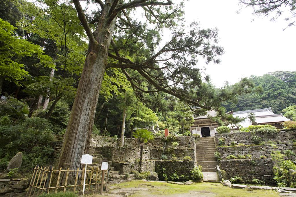 かき氷街道の周辺のおすすめスポット「天恩寺」＆「万足平の猪垣」を紹介します！