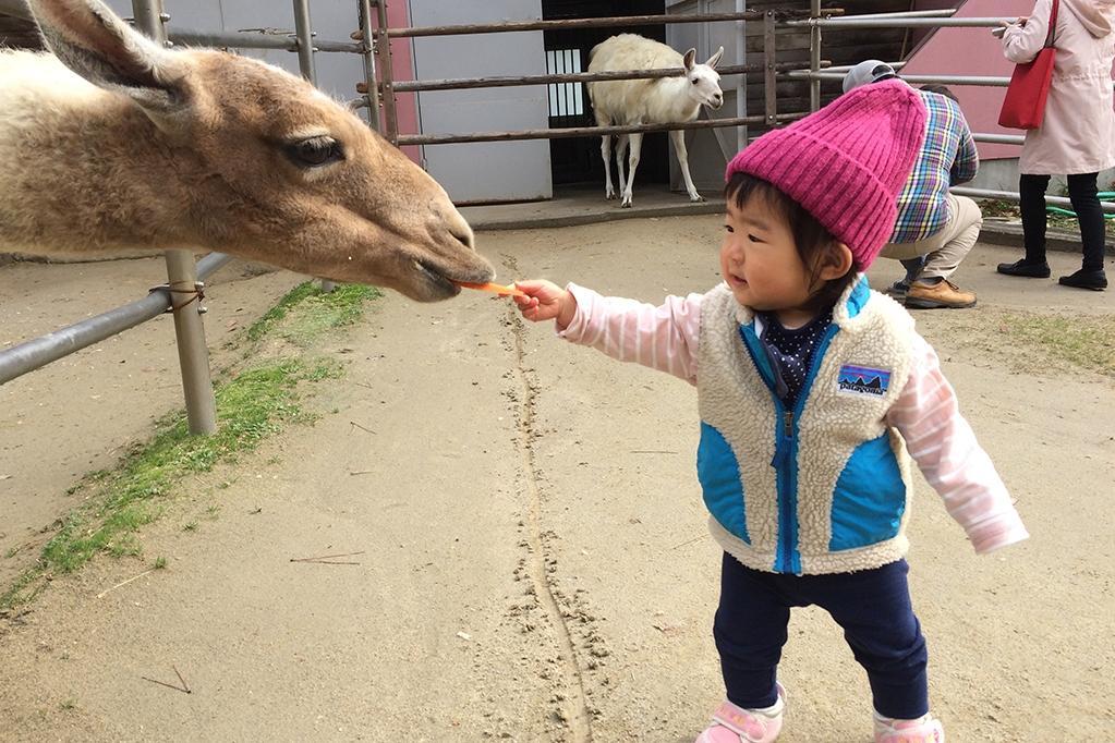 東公園動物園の「エサやり体験」を再開します！