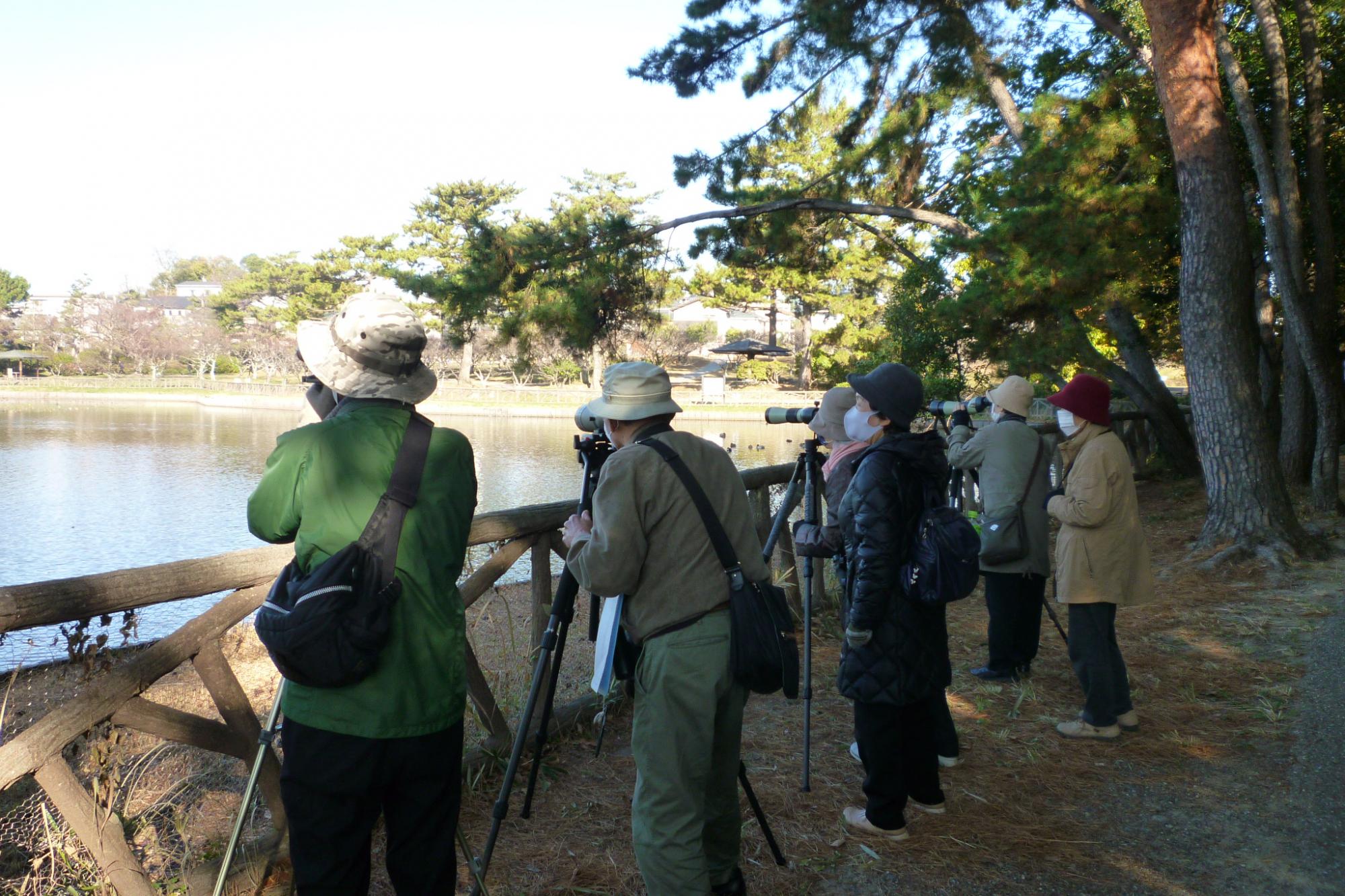 12月3日(木)は南公園探鳥会です！