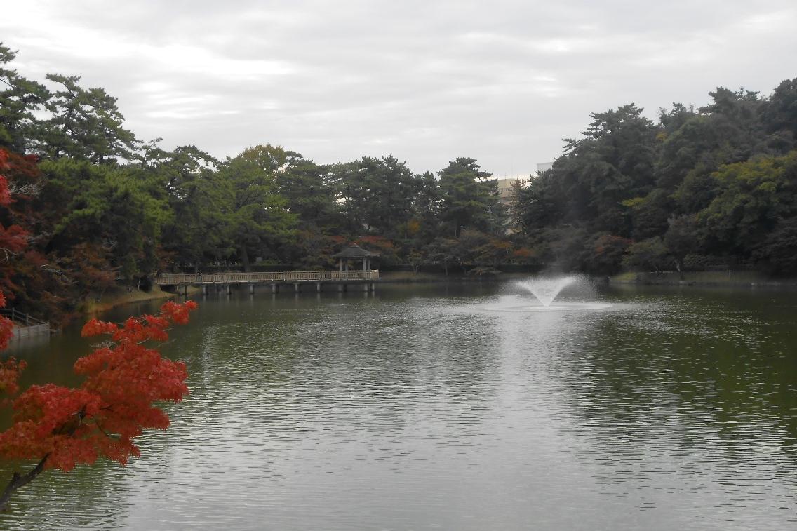 2020年の東公園紅葉情報をお届けします！