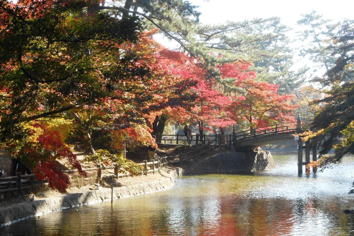 11月14日（土）の東公園紅葉情報を更新しました。