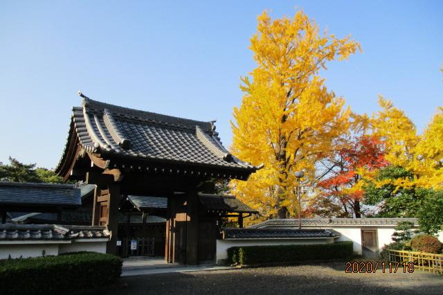 2020年11月18日（水）の紅葉情報を公開しました！