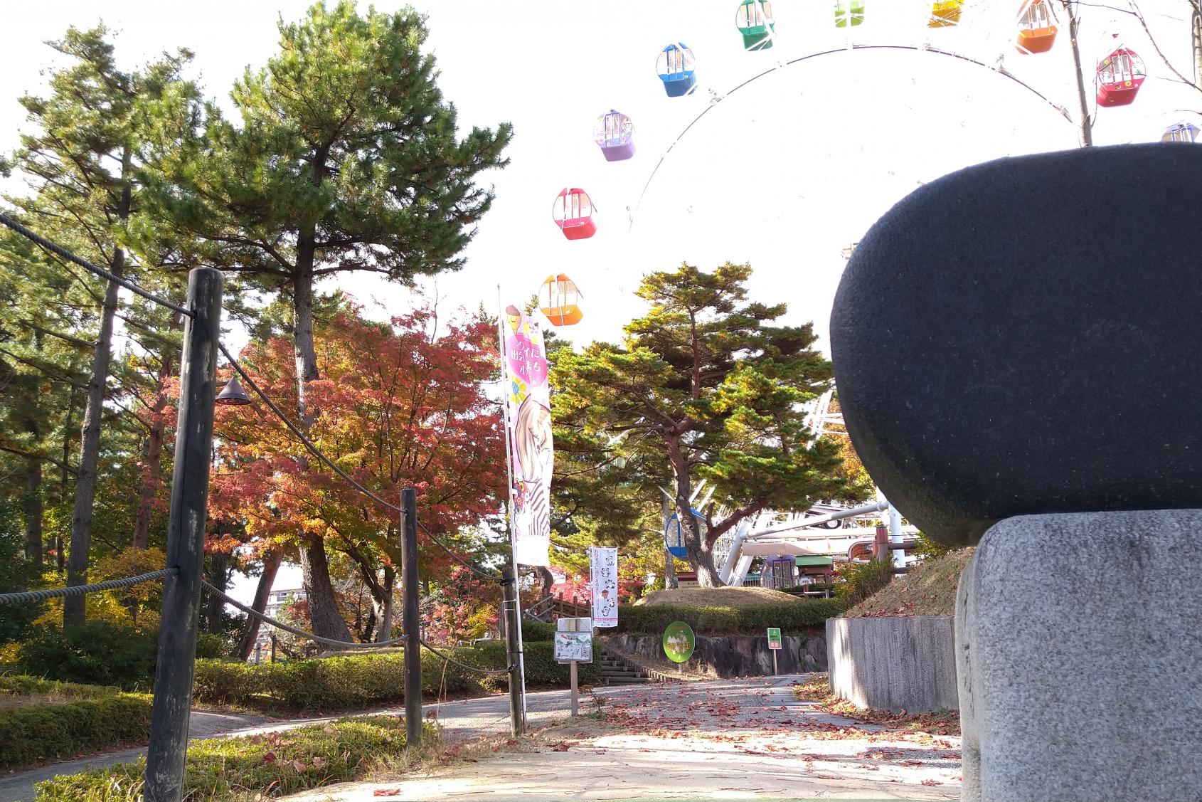 2020年南公園の紅葉情報はこちら！