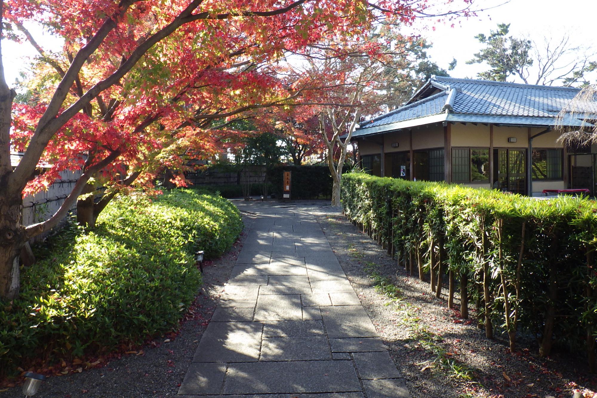 2020年11月25日（水）の紅葉情報を公開しました！