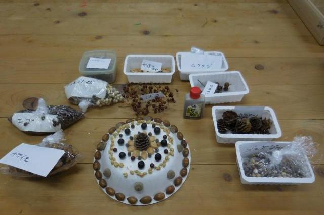 木の実木の葉を使ってケーキを作ろう／植物観察会（愛知植物の会）」を開催しました！