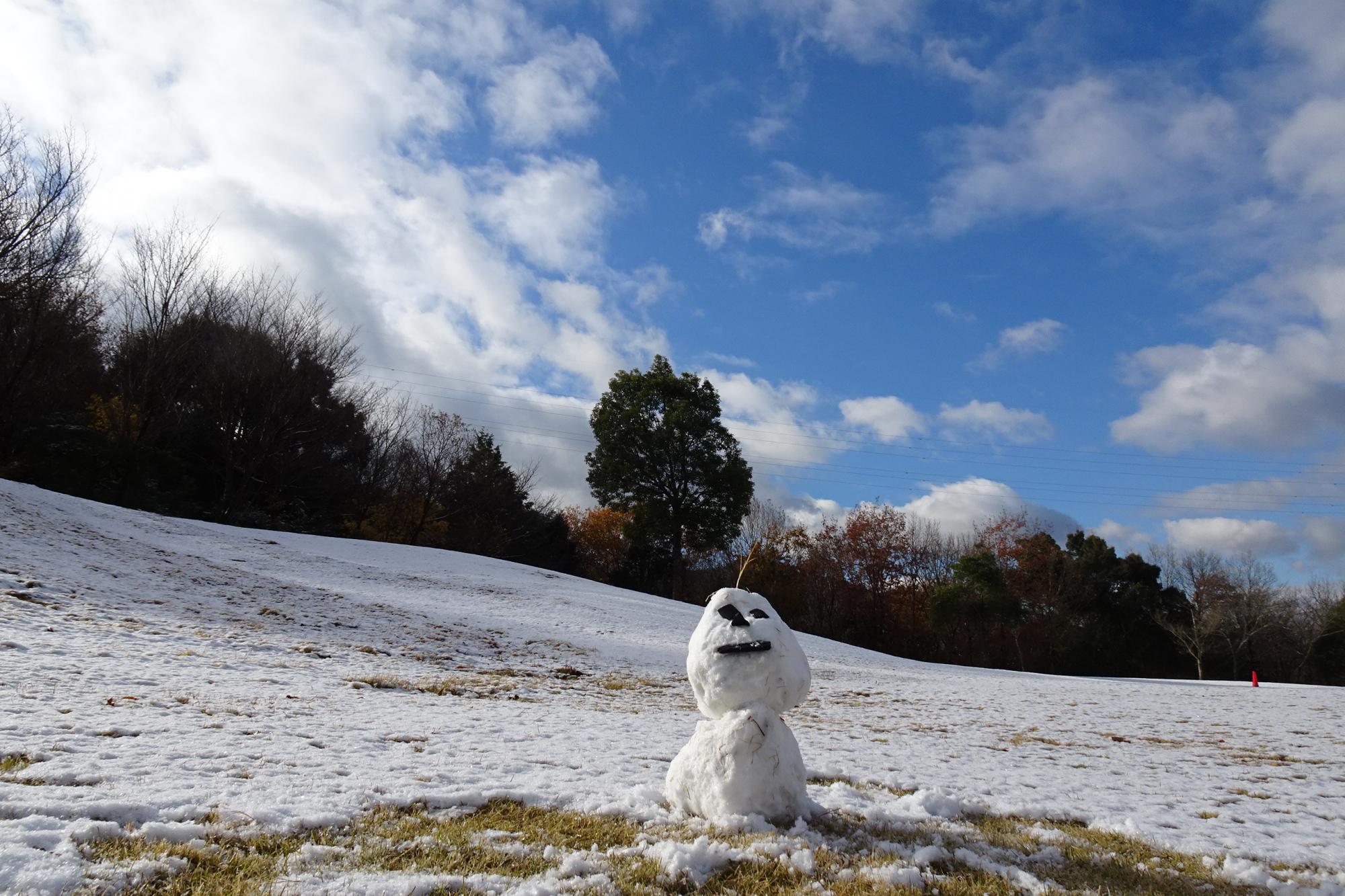 初雪が降りました。