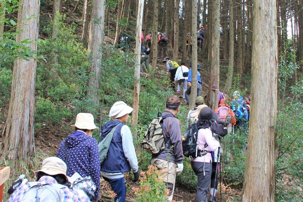 「桜・ミツマタまつり」の内容変更に関するご連絡