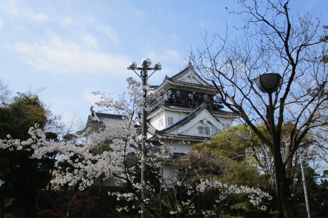 2021年3月27日（土）桜の開花状況を公開しました！