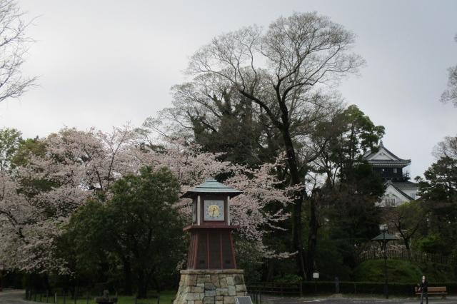 2021年3月29日（月）桜の開花状況を公開しました！  