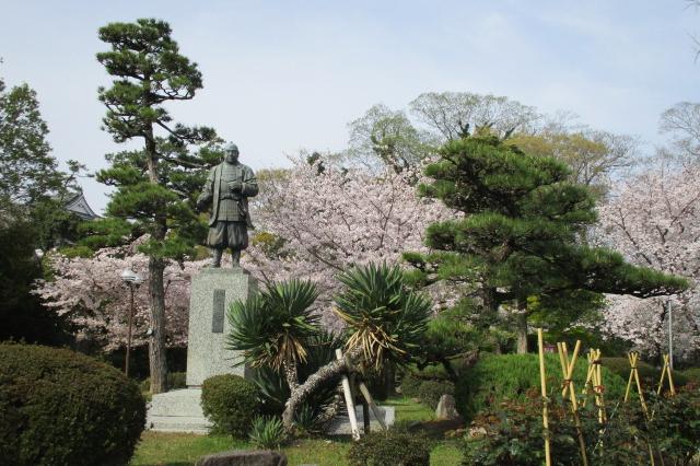 2021年3月30日（火）桜の開花状況を公開しました！