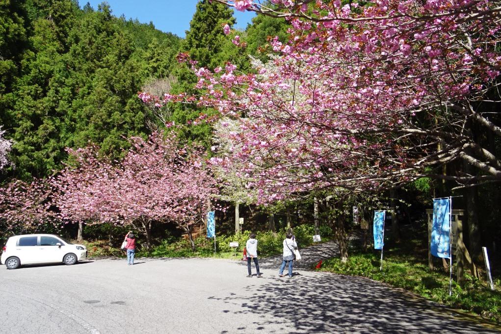 鳥川にも”春”が来ています！