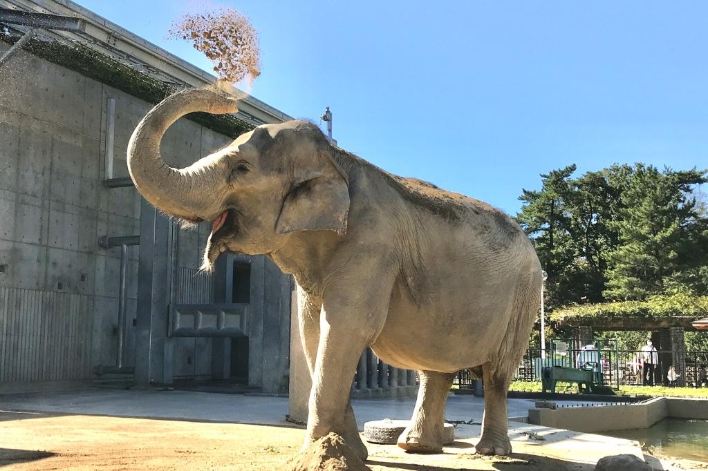 東公園動物園で開催を予定していたイベントについて