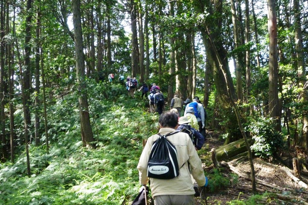 山歩き時の注意事項について