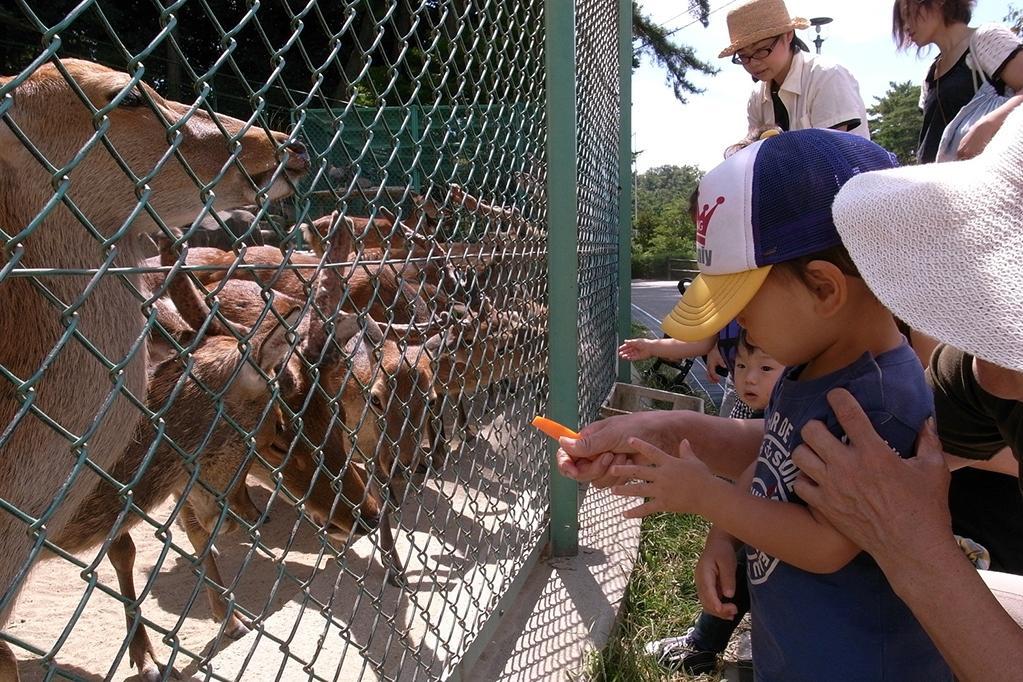 東公園動物園から「エサやり体験」再開のお知らせです。