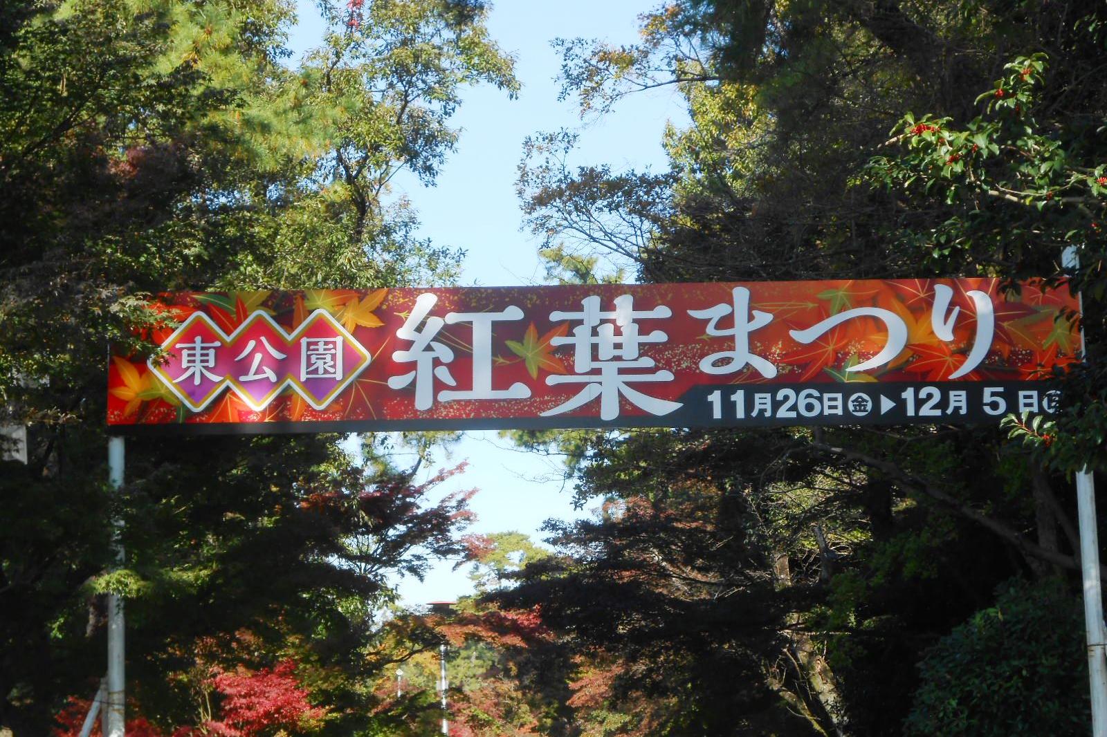 2021年の東公園紅葉情報をお届けします！