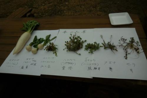 「春の七草を探そう／植物観察会（愛知植物の会）」を実施します！！