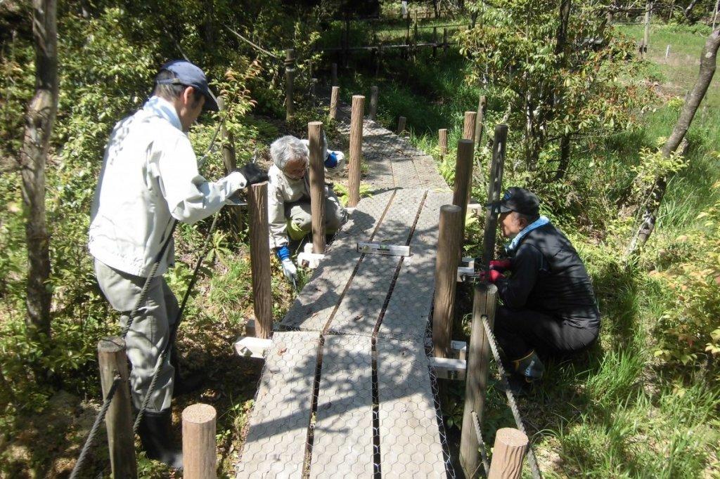 5月の北山湿地保全活動をレポートします