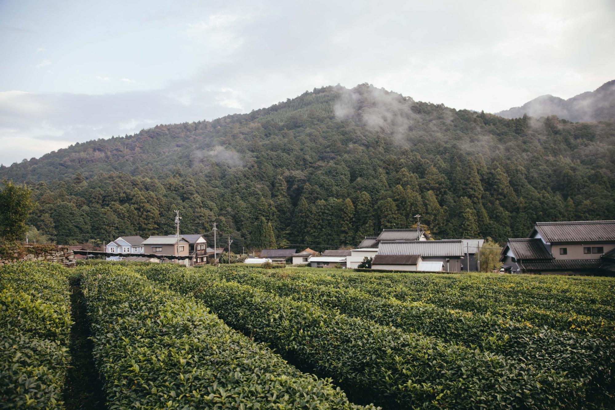 緊急告知！3月5日（土）実施【額田モニターツアー】暮らし感光～山の暮らしの入口～の参加者を募集します！