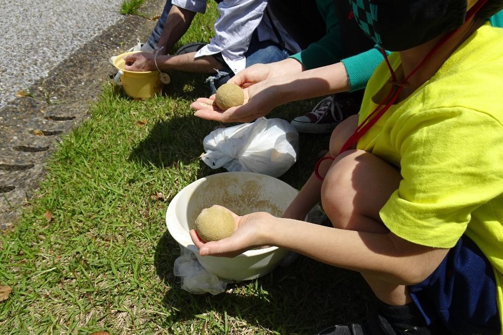 「ひかる？どろだんご作り」を開催します。