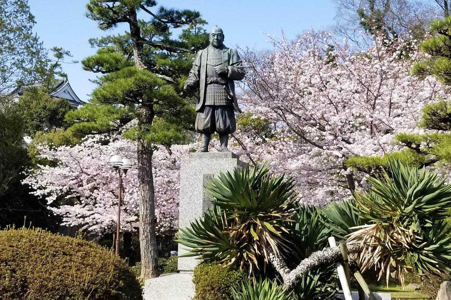 2022年3月30日（水）桜の開花状況を公開しました！