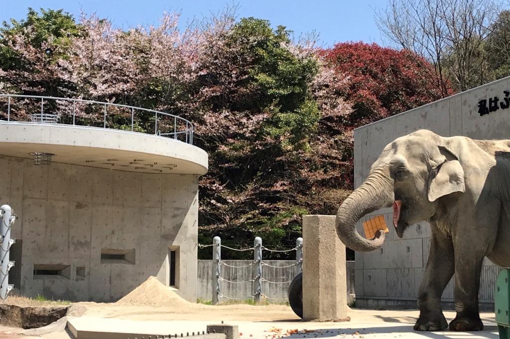 東海テレビ「スイッチ！」で東公園動物園が紹介されます。