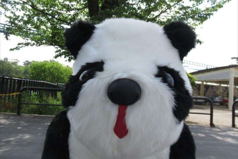 メロディーペットのパンダ2台登場！
