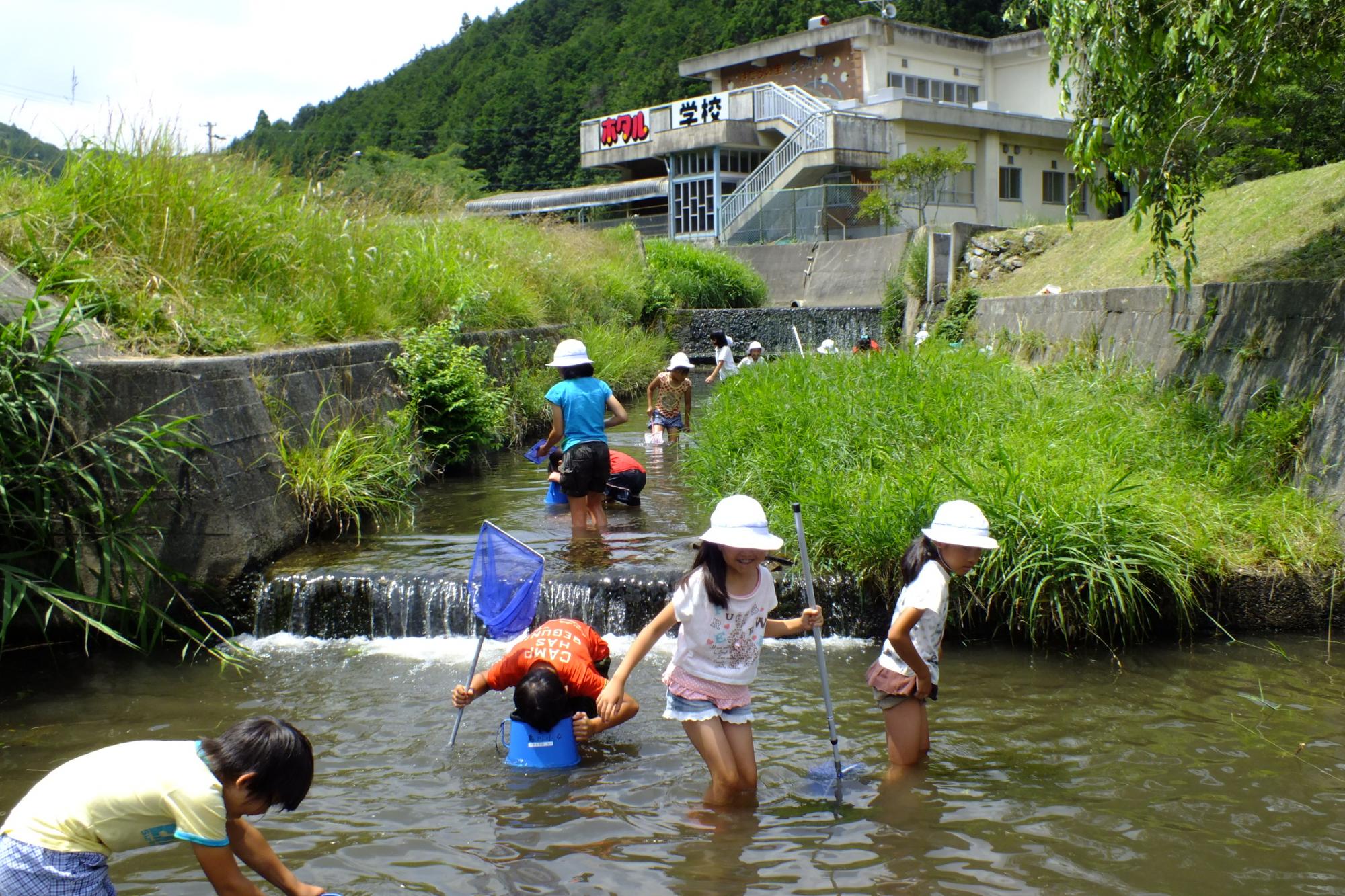 ホタルの川生き物調査隊！の参加者を募集しています！