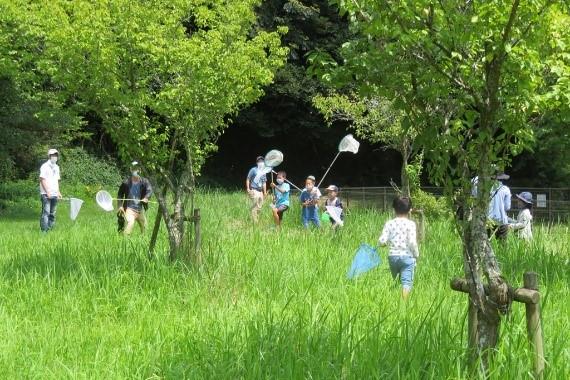 ホタルの里トンボ探検隊！の参加者を募集しています！