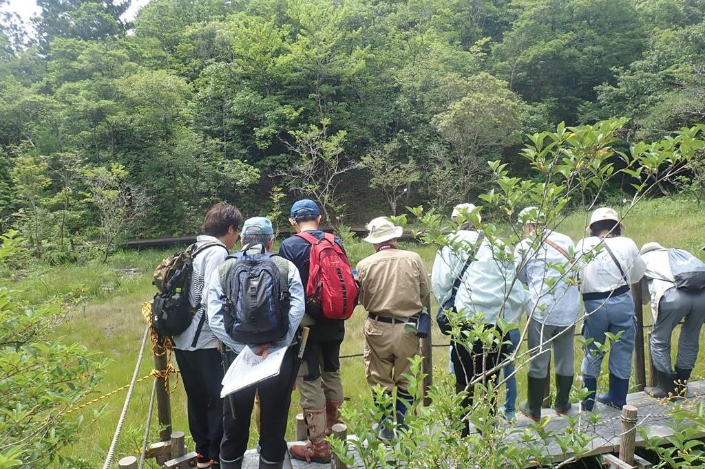 初夏の北山湿地自然観察会を実施しました！