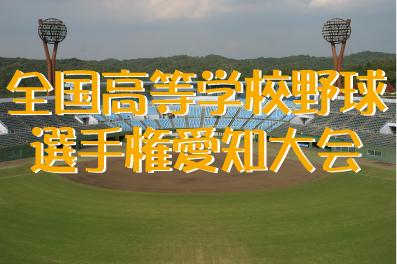 全国高等学校野球選手権　愛知大会