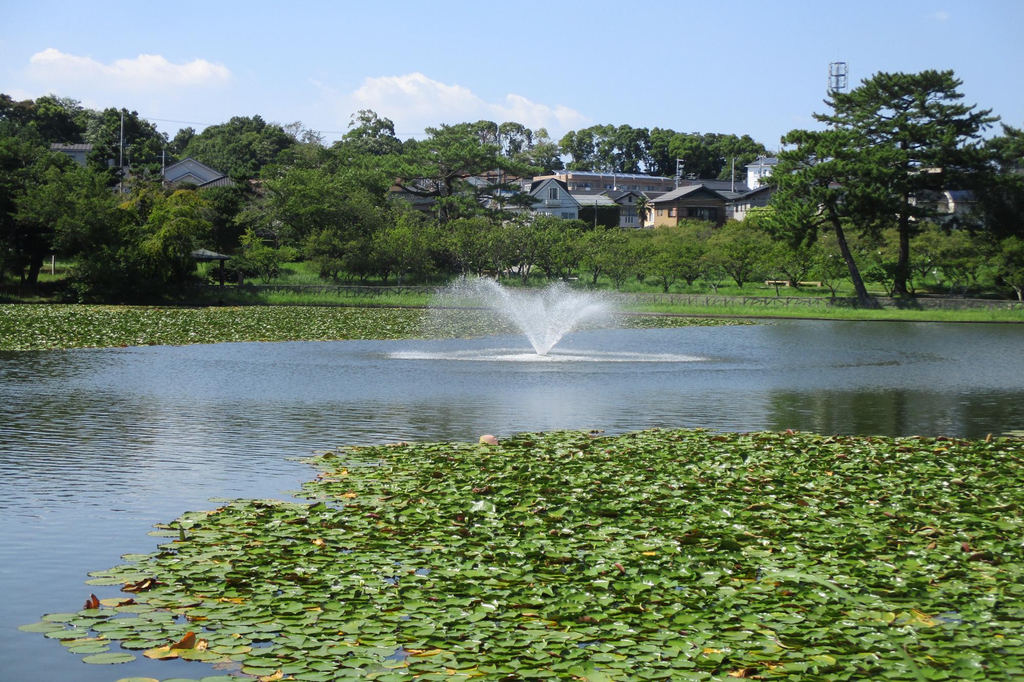 西三田ヶ入池北側の噴水は復旧しました。