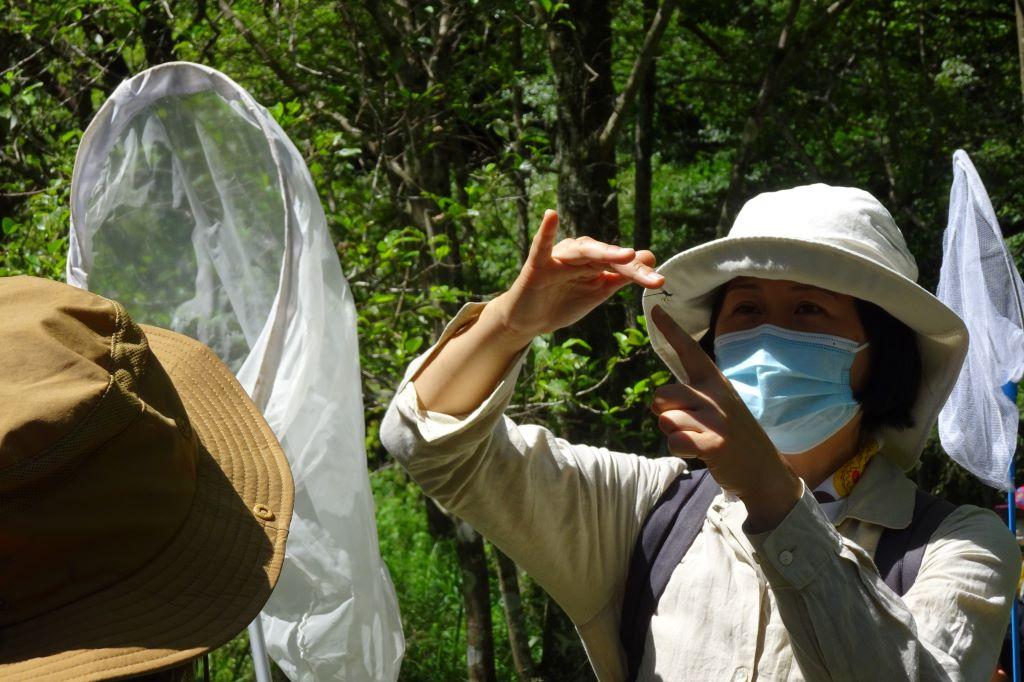 「夏の虫を探そう」を実施しました！