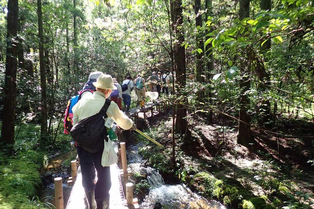 北山湿地「秋の自然観察会」を実施しました！