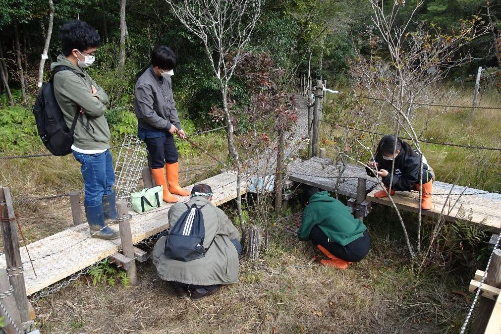 北山湿地では教育機関による調査研究も実施しています。