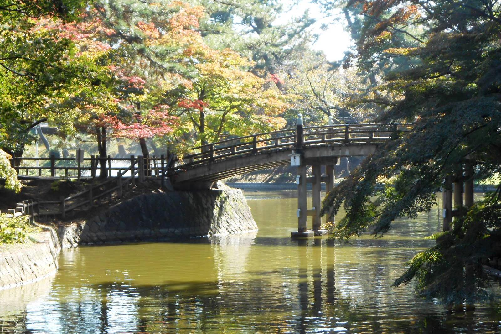 2022年の東公園の紅葉情報をお伝えします。