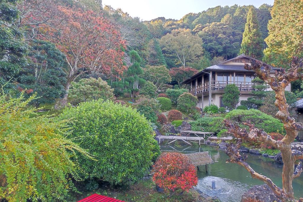 11月11日(金)の紅葉の様子です