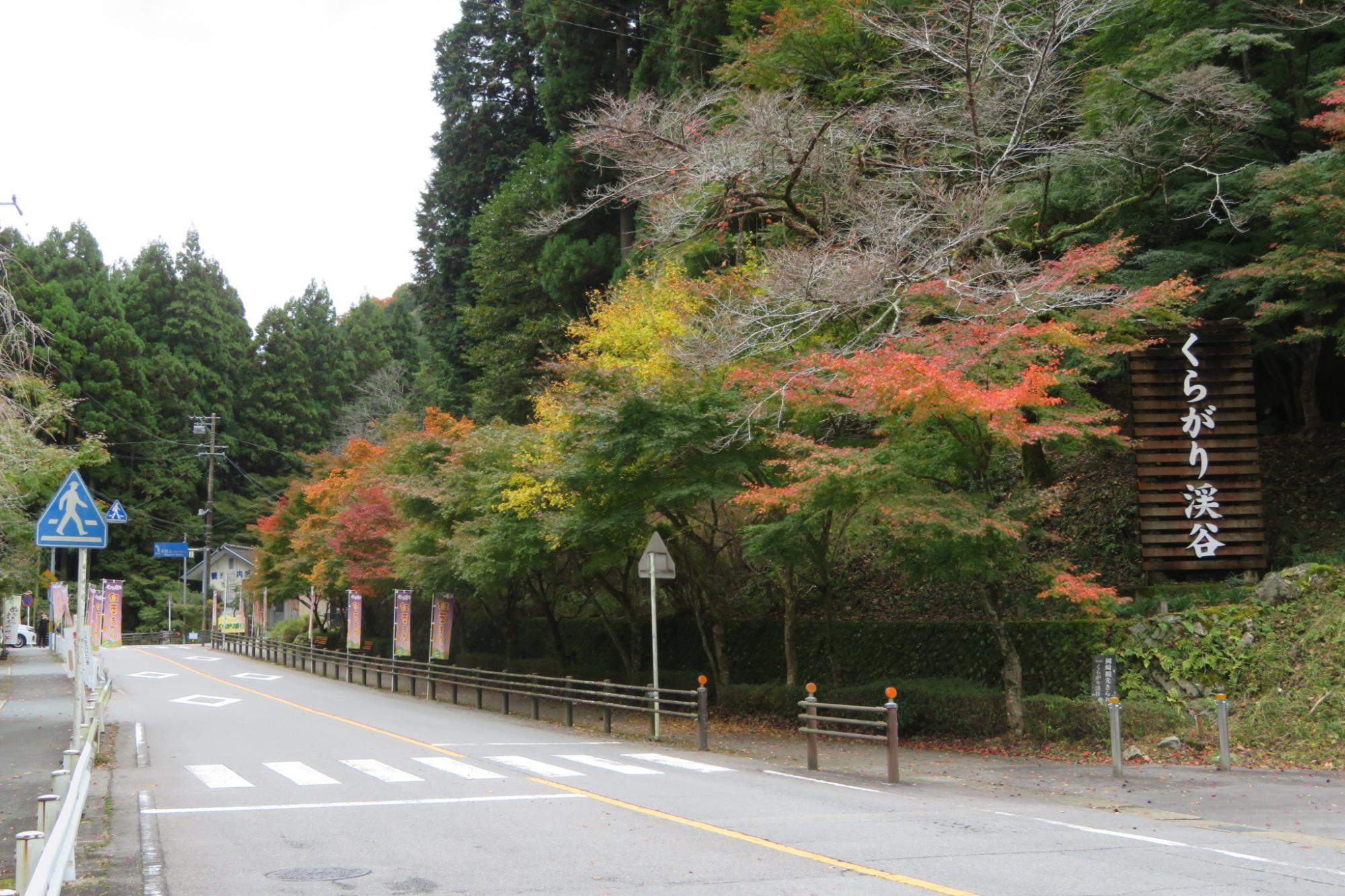 2022年のくらがり渓谷紅葉情報をお伝えします！