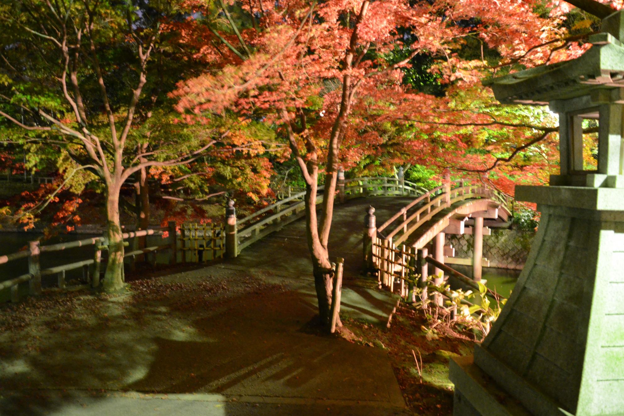 11月27日（日）に東公園で紅葉まつりを開催します！