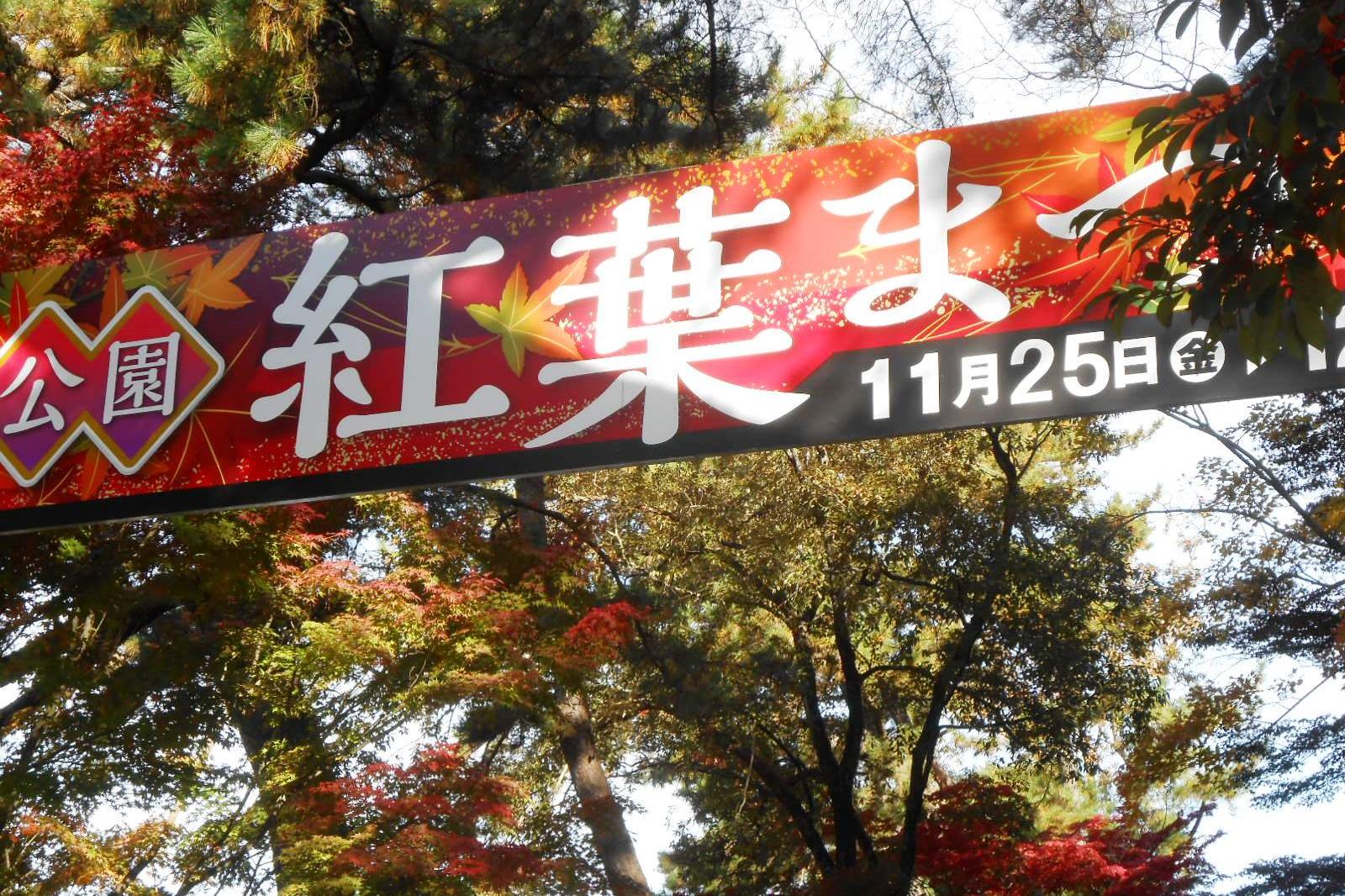 11月22日（火）の東公園紅葉情報を更新しました。