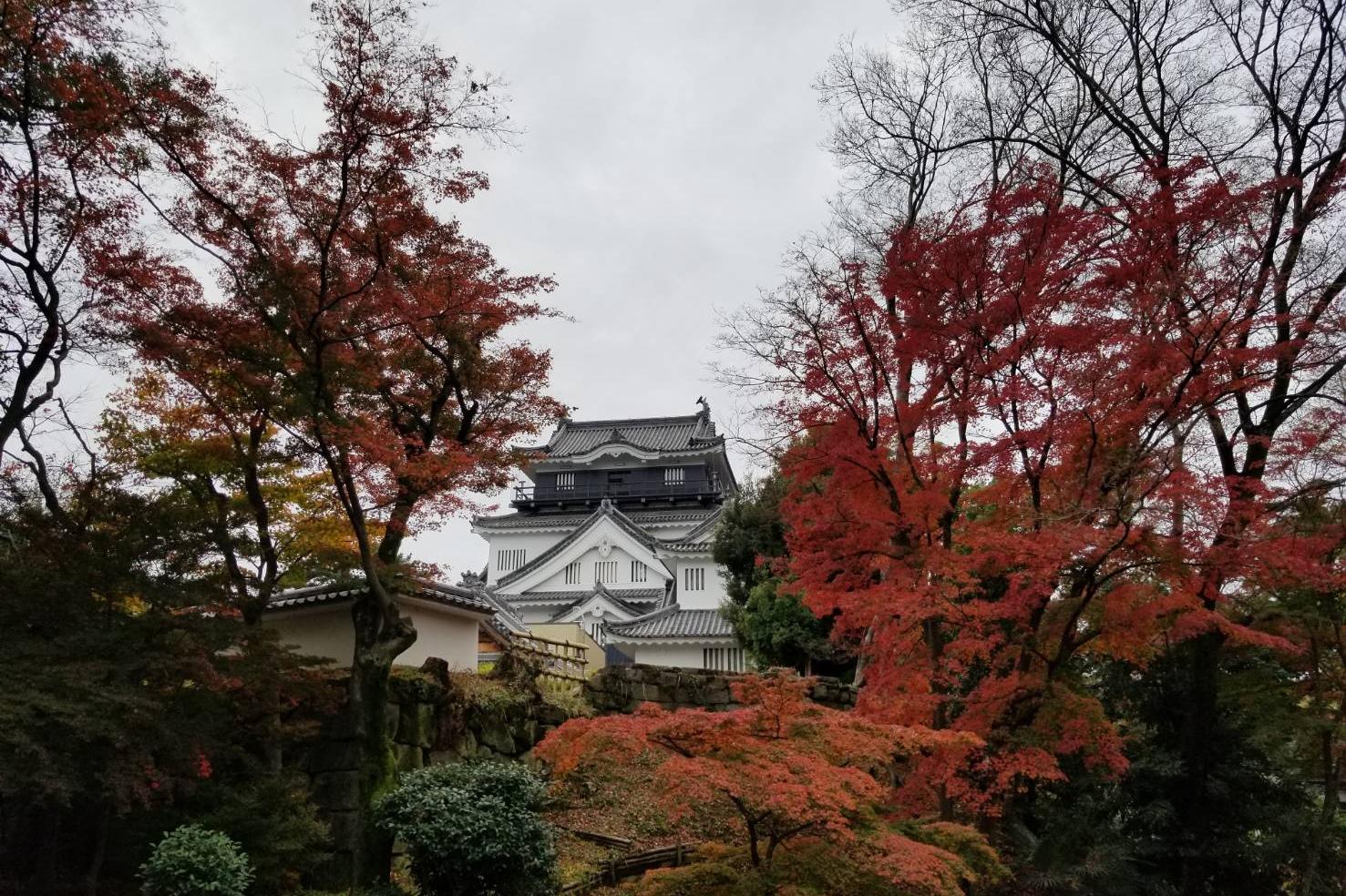 2022年11月29日（火）の紅葉状況を公開しました！