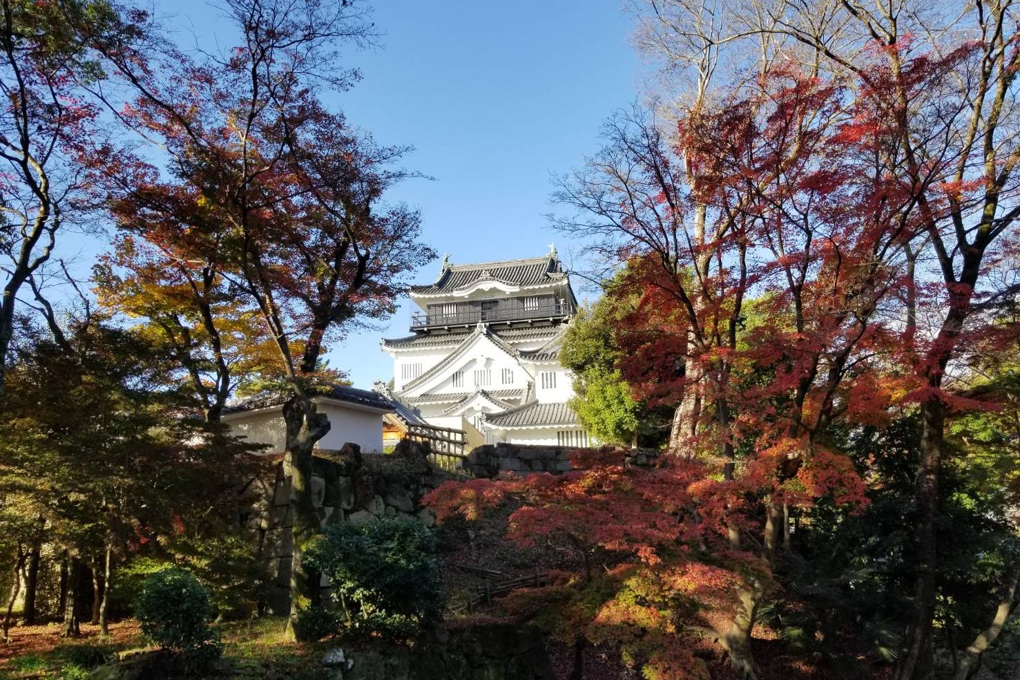 2022年12月1日（木）の紅葉状況を公開しました！