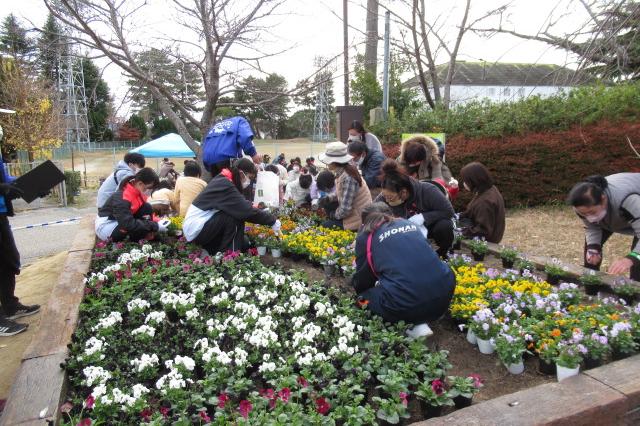 2022年12月3日（土）に花壇の植え付けを行いました！