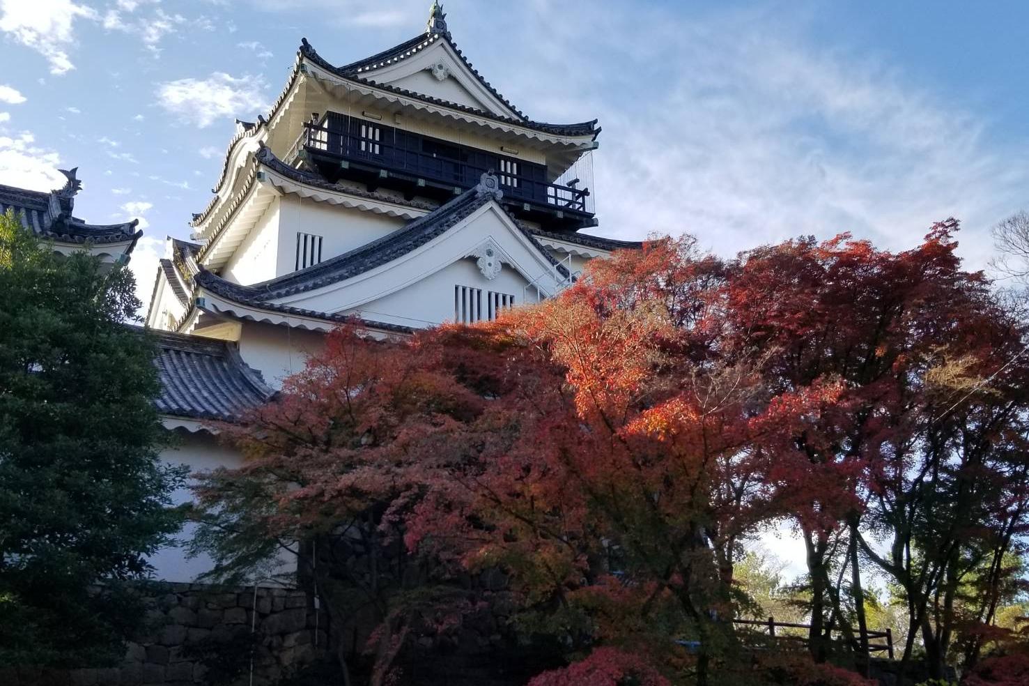 2022年12月5日（月）の紅葉状況を公開しました！