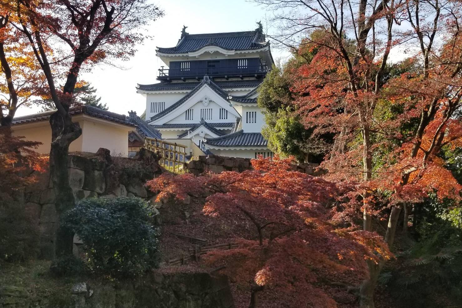 2022年12月8日（木）の紅葉状況を公開しました！